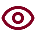 Oversight Eye icon