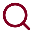 Investigation icon