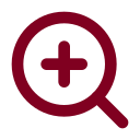 Detail Inspection icon