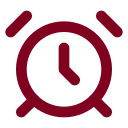 Alarm Trigger icon