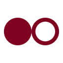 Boolean icon