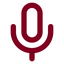 Voice Bot icon