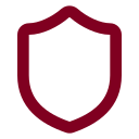 Security Shield icon