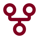 Data Branch icon