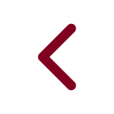 Previous Lesson icon