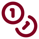 Coins icon