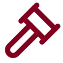 Legal Ruling icon