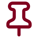 Pin icon
