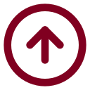 Arrow Up Circle icon