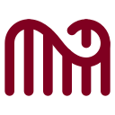 Roller Coaster icon