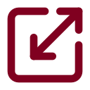 Scaling icon