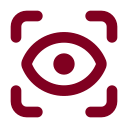 Scan Eye icon