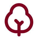 Shrub icon