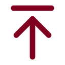 Arrow Up To Line icon