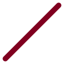 Slash icon