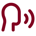 Speech icon