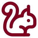 Squirrel icon