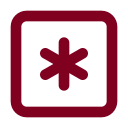 Asterisk Square icon