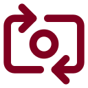 Switch Camera icon