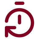 Timer Reset icon