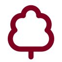 Tree Deciduous icon