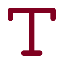 Type icon