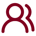 Users 2 icon