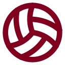 Volleyball icon