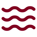 Waves icon