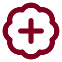 Badge Plus icon