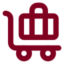 Baggage Claim icon