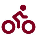 Bike icon