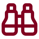 Binoculars icon