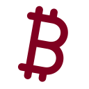 Bitcoin icon