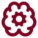 Brain Cog icon