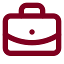 Briefcase Business icon
