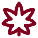 Cannabis icon