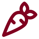 Carrot icon