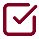 Check Square icon