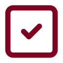 Check Square 2 icon