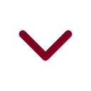 Chevron Down icon
