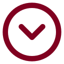Chevron Down Circle icon