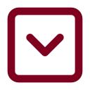 Chevron Down Square icon