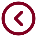 Chevron Left Circle icon