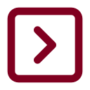 Chevron Right Square icon