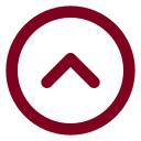 Chevron Up Circle icon