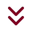Chevrons Down icon