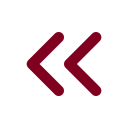 Chevrons Left icon
