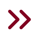 Chevrons Right icon