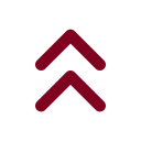 Chevrons Up icon
